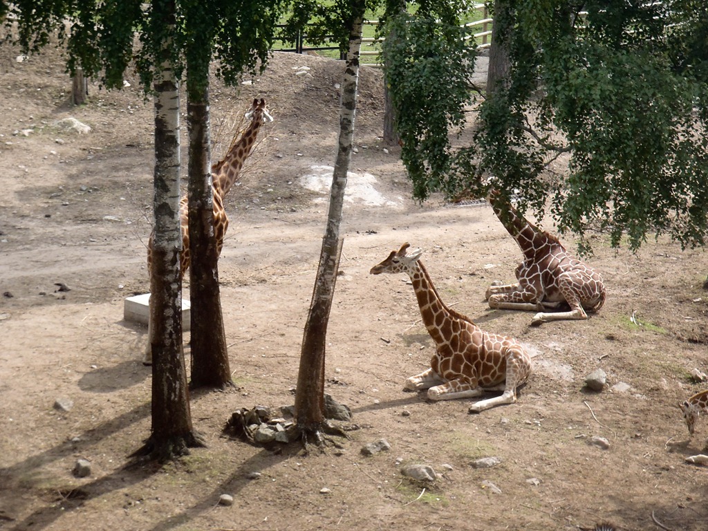[P7301880%255B4%255D.jpg]