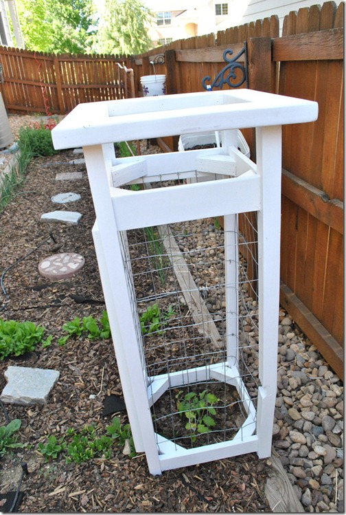 Royal Tomato Towersa.k.a tomato cage The Whimsical Princess