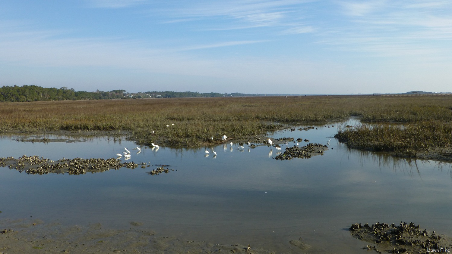 [Huntington-Beach-State-Park_1153.jpg]