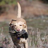 Hunt Test 2009