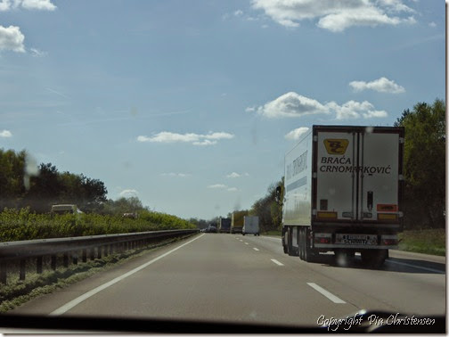 P1000604 P1000604