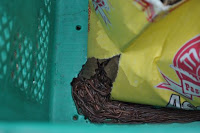pinoyecofarm vermicomposting seminar _0032.JPG