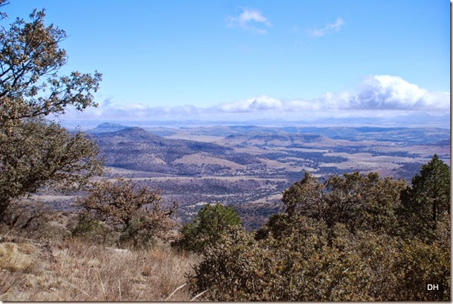 02-17-15 McDonald Observatory Fort Davis (104)