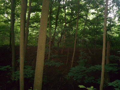 Airsoft - hiding