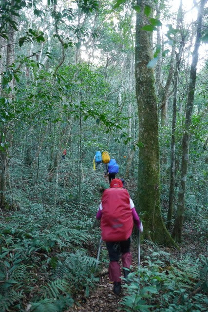 2013_0130-0131 復興雙障-嘎拉賀上唐穗山連走稜山_014 2013_0130-0131 復興雙障-嘎拉賀上唐穗山連走稜山_014