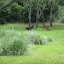 Florida08 109.jpg