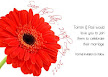 Red Gerbera 1 Save the Date