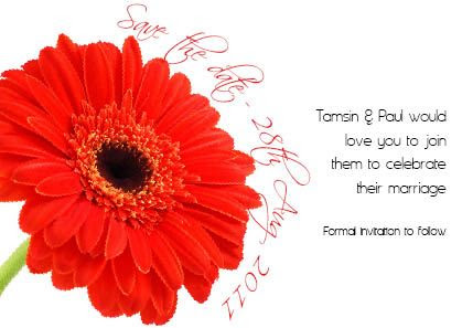 Red Gerbera 1 Save the Date
