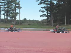 cranberry wet harvest 9.2013