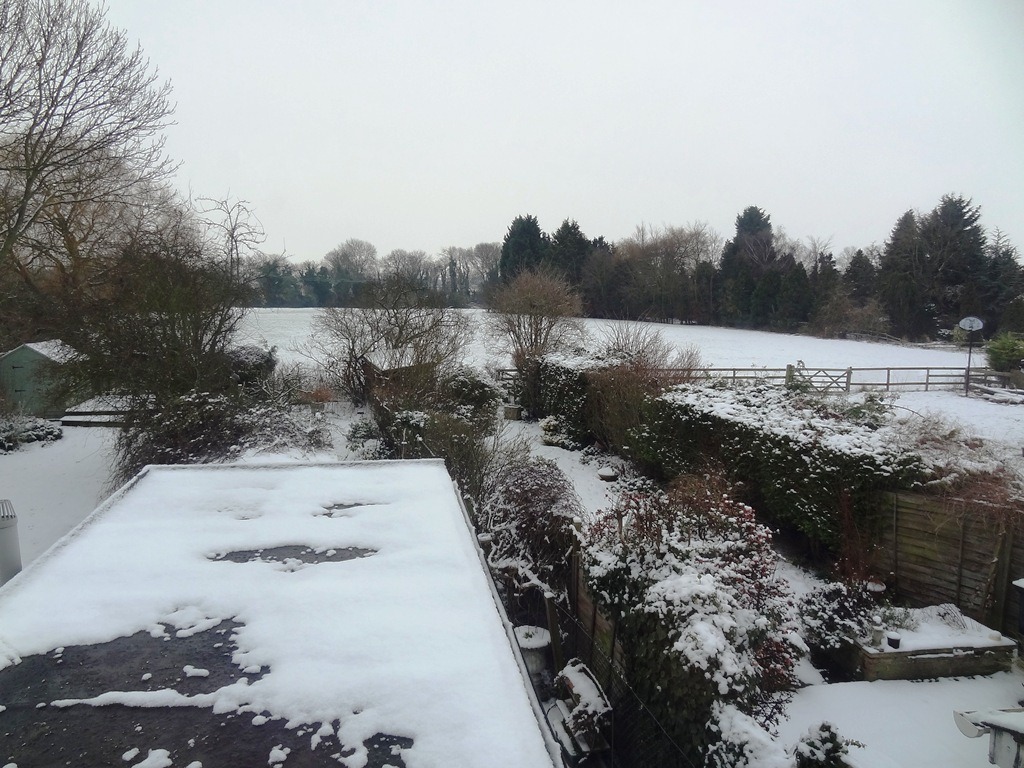 [Ugly%2520winter%255B4%255D.jpg]