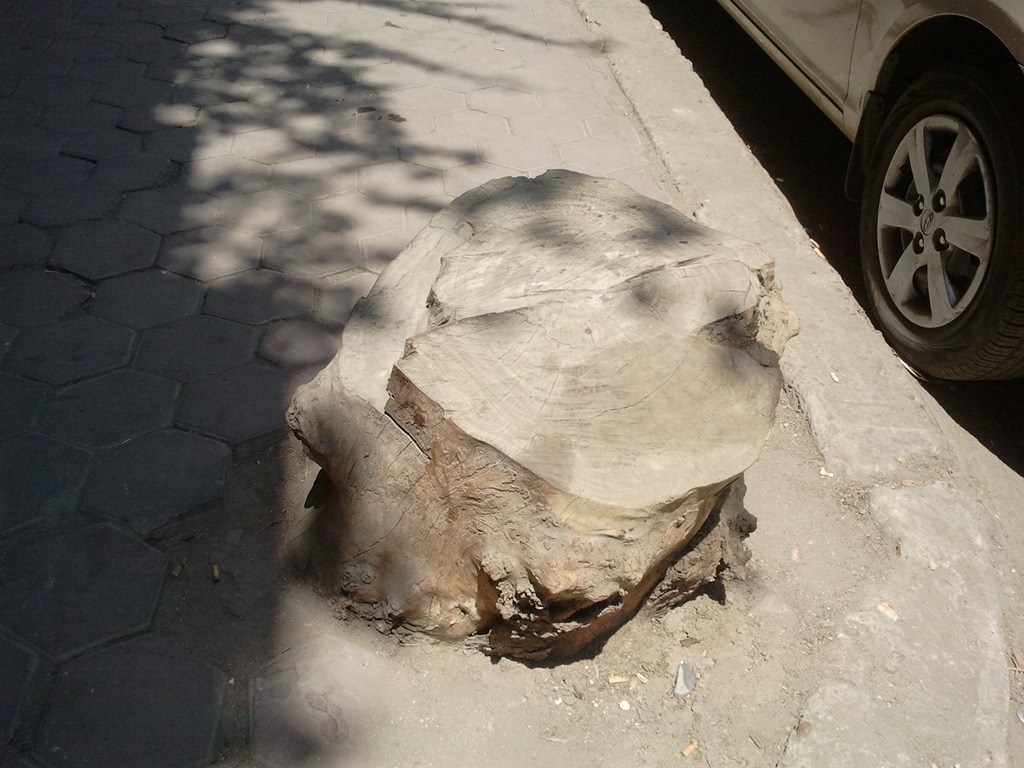[2012-09-03%252011.40.50%255B3%255D.jpg]
