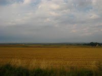 węgleszyńskie pola Photo