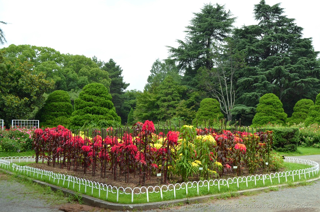 [Gl%25C3%25B3ria%2520Ishizaka%2520-%2520%2520%2520Kyoto%2520Botanical%2520Garden%25202012%2520-%2520116%255B3%255D.jpg]