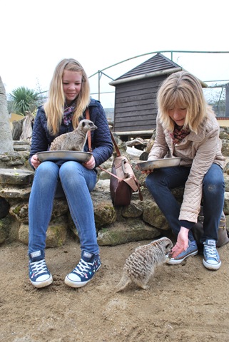 [DSC_0439%255B7%255D.jpg]