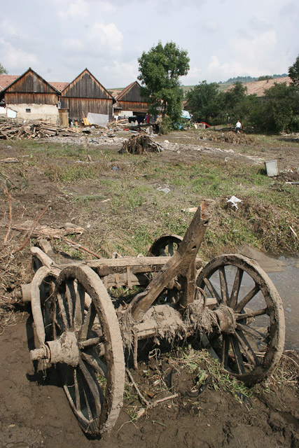 arviz2005_22.jpg