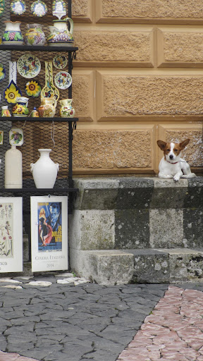 Leonardo here resides in the cute little town of Orvietto. It's fun meeting all of these Italian pooches- but it makes me miss my crew of fur kids all the more... Leonardo here resides in the cute little town of Orvietto. It's fun meeting all of these Italian pooches- but it makes me miss my crew of fur kids all the more...