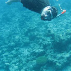 l060.jpg
