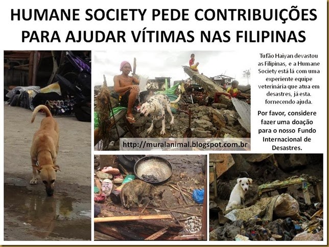 HUMANE SOCIETY PEDE CONTRIBUIÇÕES PARA AJUDAR VÍTIMAS NAS