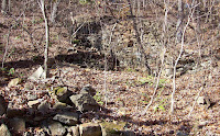 Holden's Mill Ruins Photo
