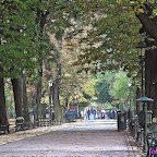 PA147919.JPG