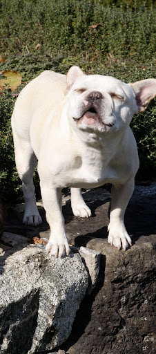 Oh, that sun feels so good on my face.