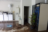 Out the back, before cleaning