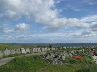 IMG_5815 IMG_5815