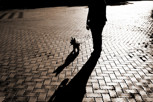 愛犬と妻と撮影対象にしてみました