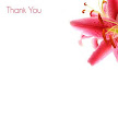 Thank You Notepaper