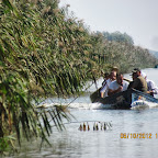 IMG_7955.JPG
