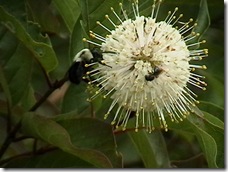 IMGA0564 IMGA0564