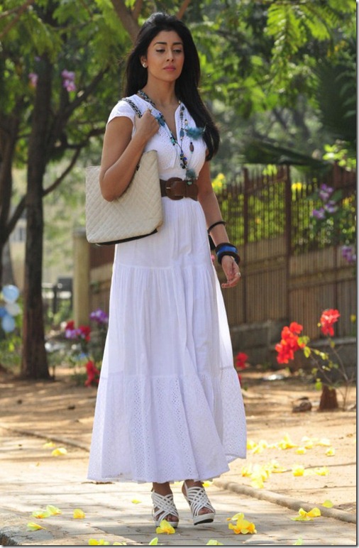 Shriya Saran in Bohemian Skirt