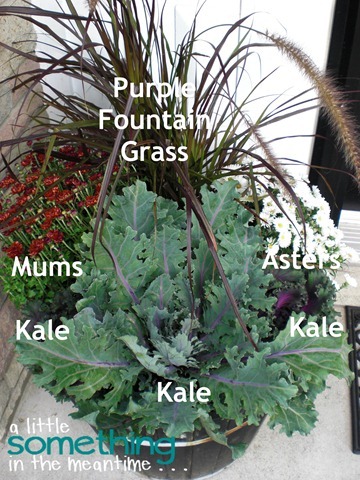 Labels on Fall Planter
