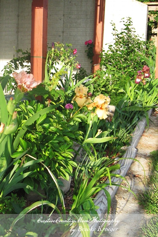 [IMG_37606.jpg]