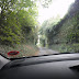 Evil Hedgerow!