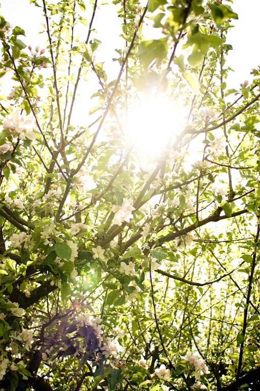 [20120506-IMG_3143-2%255B3%255D.jpg]