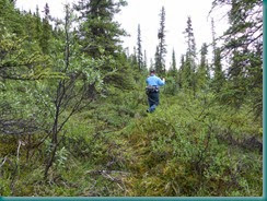 Denali-Tek (79) Denali-Tek (79)
