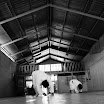 _DSC0842.JPG