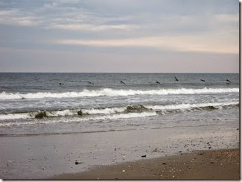 IMG_0212 IMG_0212