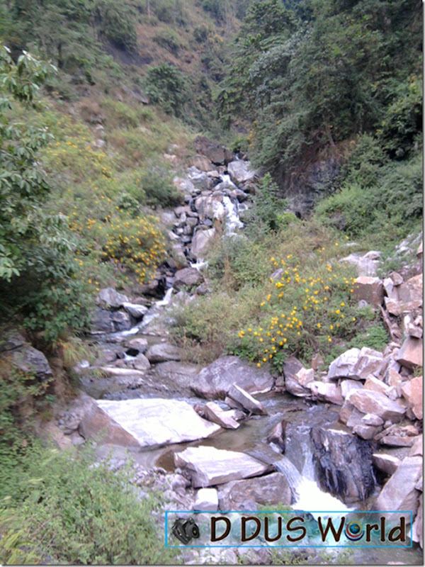Pathivara yatra (30) Pathivara yatra (30)