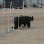 DSC_0064.JPG