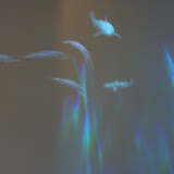BILD0667.JPG