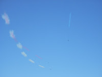 DSCN0222.JPG