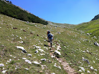 IMG_1529.JPG
