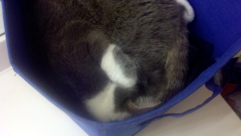 [2012-01-09_00-07-36_499%255B4%255D.jpg]