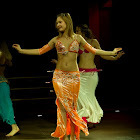 Document Name_3_248.JPG