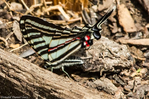 [130515_E-5%255B4%255D.jpg]