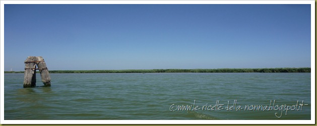 Gita sul Po' in barca - 7 agosto 2012 (41)
