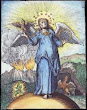 Engraving From Johann Wurffbain Salamandram Super Triplici Ararum Foco 2