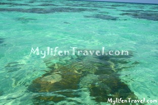 Koh Lipe Fun dive 16 Koh Lipe Fun dive 16